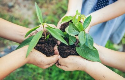 National Chemicals Management – from Knowledge to Action